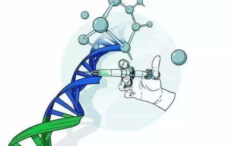 什么是非转基因(什么是非转基因食品)