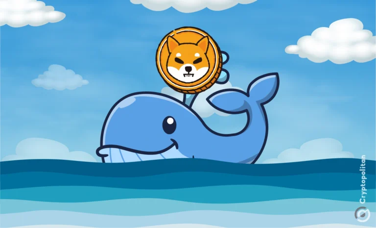 shib最新(最新实时更新消息) shib最新(最新实时更新消息)