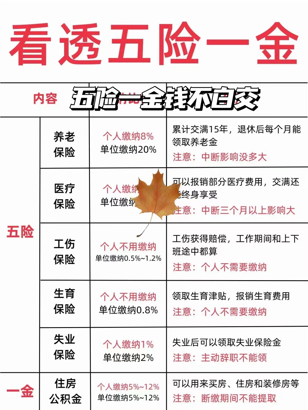 一金有什么用(外地人在上海交五险一金有什么用)