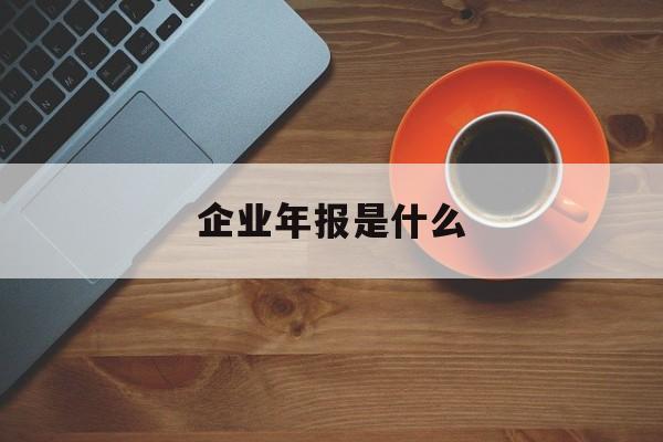 企业年报是什么(企业年报是什么意思需要交费吗)